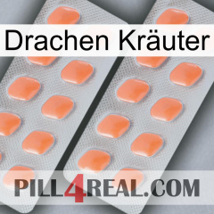 Drachen Kräuter 27